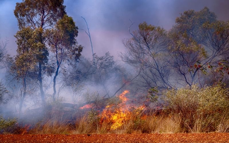 bushfire in Australia