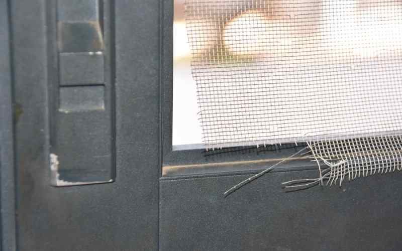 Damaged Security Door Fly Screen
