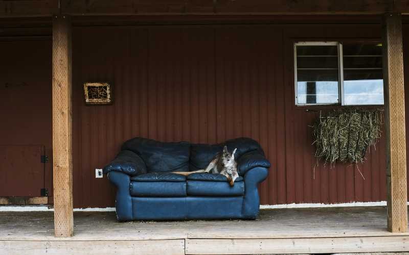 Utilise Outdoor Space